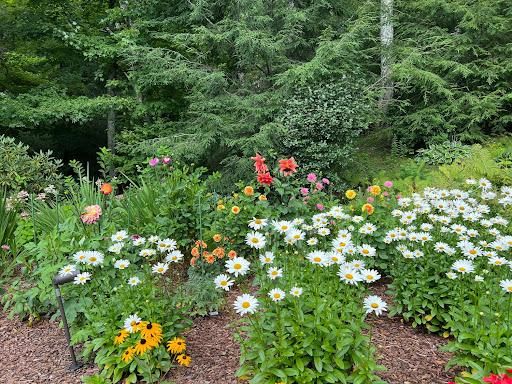 All Photos for Sustainable Property Services in Banner Elk, NC