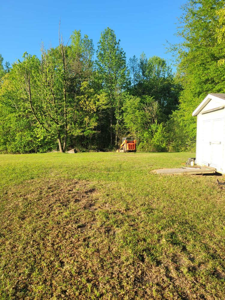 All Photos for Bobcat Bob in Clermont, GA