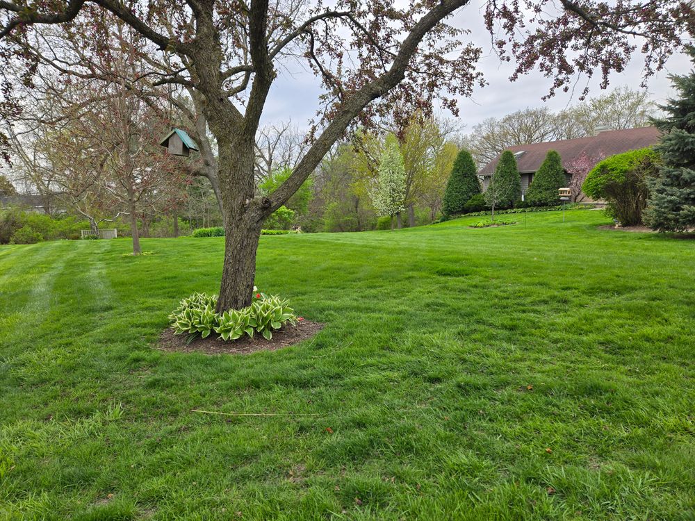 All Photos for Elite Landscaping in Hampshire, IL