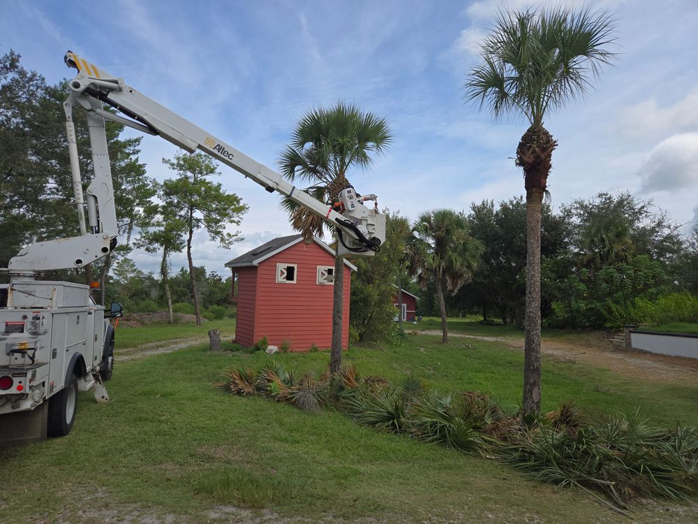 All Photos for Near Me Tree Service, Inc. in DeLand, FL
