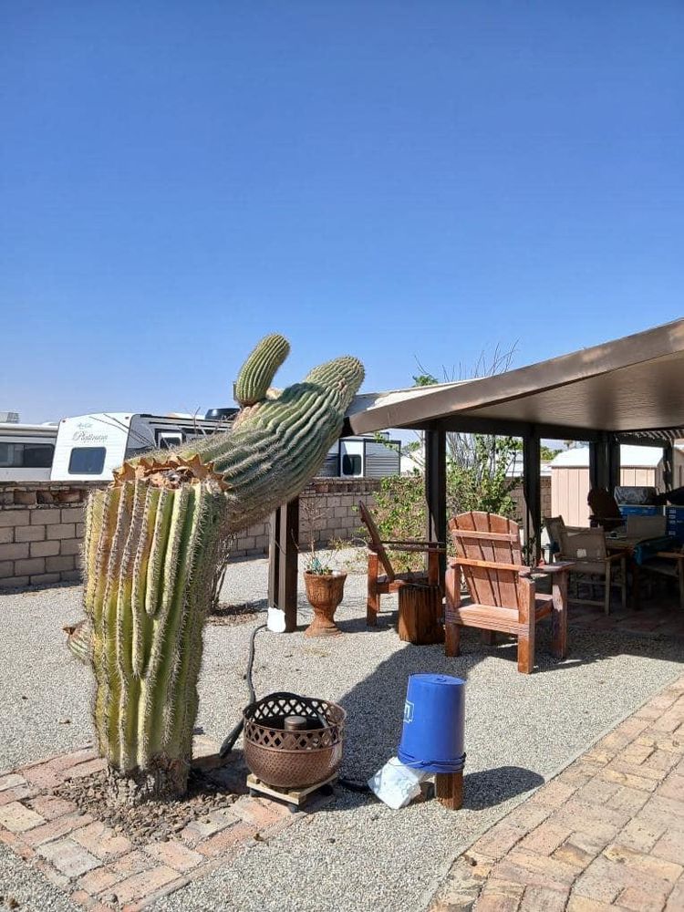 All Photos for Oliver L. Palm & Tree services in Yuma County, AZ