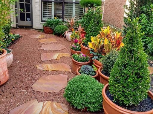 All Photos for Green City Landscape and Lawn Care LLC in Mesquite, TX