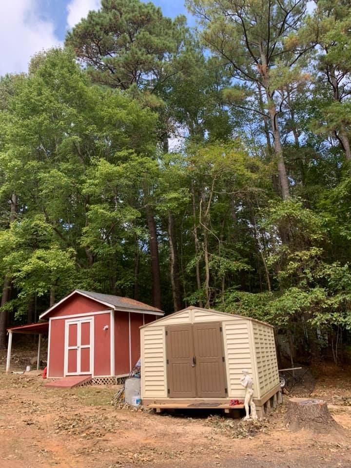 Tree Removal for AB Tree Service in Raleigh, NC