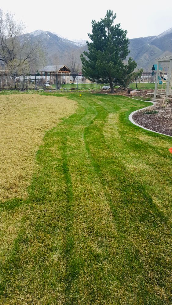 All Photos for Platinum Lawn Service in Santaquin, UT