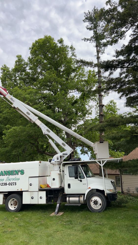 All Photos for Fransen's Tree Service  in Freeport, IL