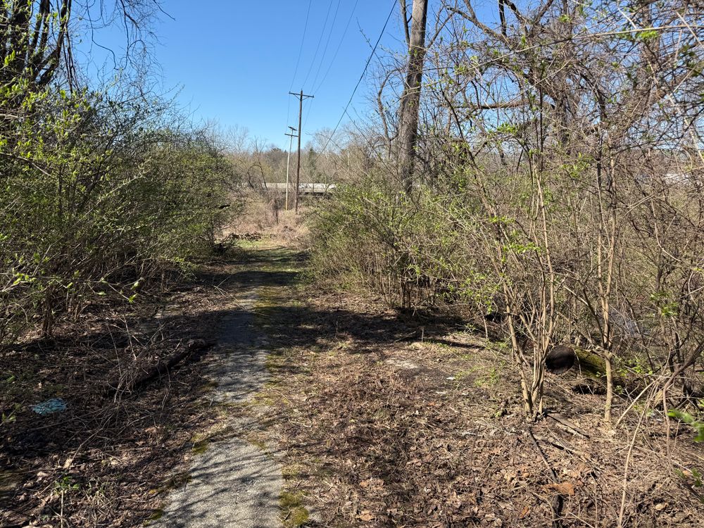 All Photos for A1 Bush Hogging & Lawn Service in London, OH