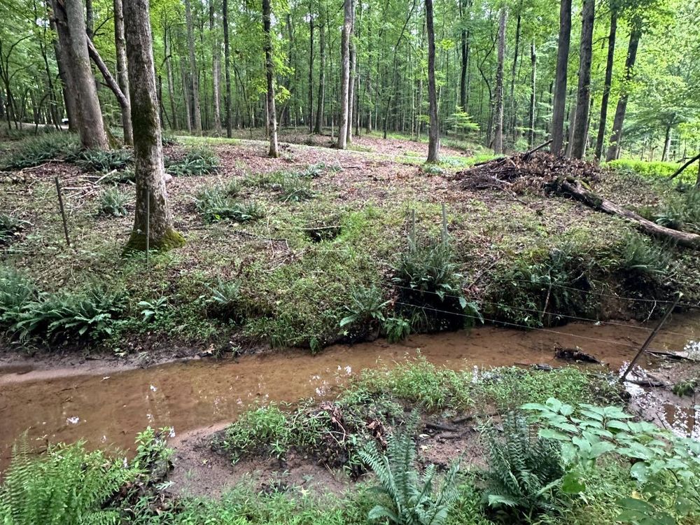 Brush Cutting and Removal for Fayette Property Solutions in Fayetteville, GA