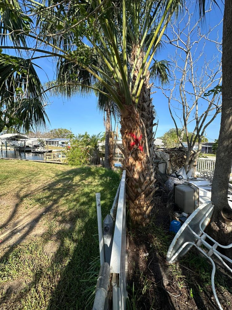 All Photos for Kramer & Son’s Property Maintenance in Hudson, FL