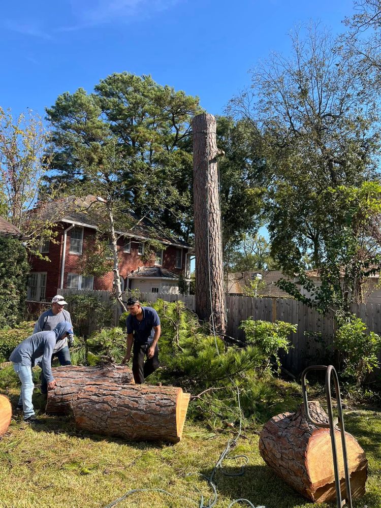 JC Land and Tree Service team in Kilgore, TX - people or person
