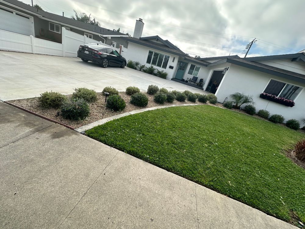 All Photos for Benito's Gardening and Tree Service  in San Juan Capistrano, CA