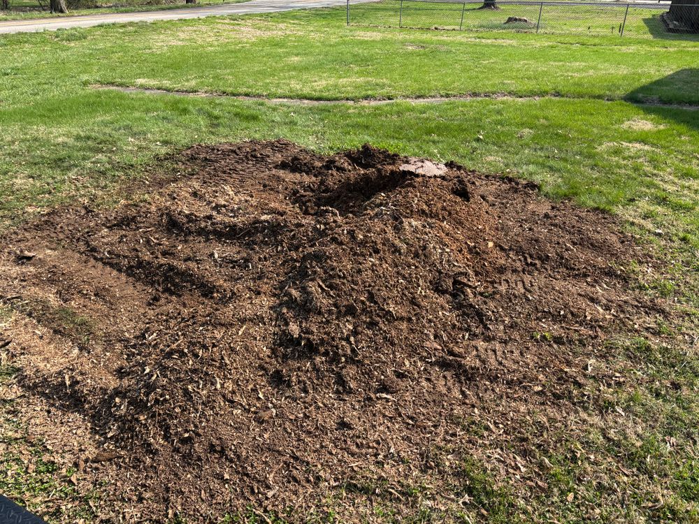 All Photos for Conrad's Stump Removal in Columbus, IN