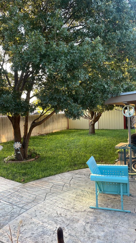 All Photos for R&J Hydromulch in Booker, TX