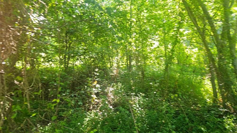 All Photos for B&B Land Management in Jamestown, TN