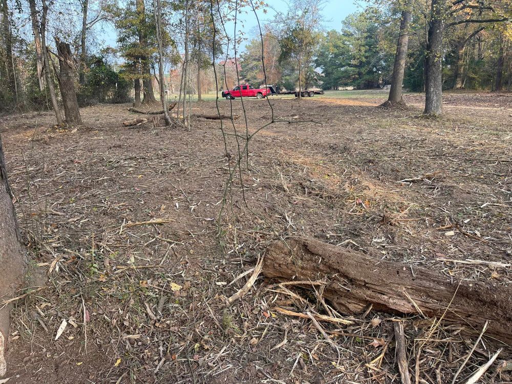 Tree Trimming & Removal for Randy Chumley Circle C Land Management in Marshall, TX