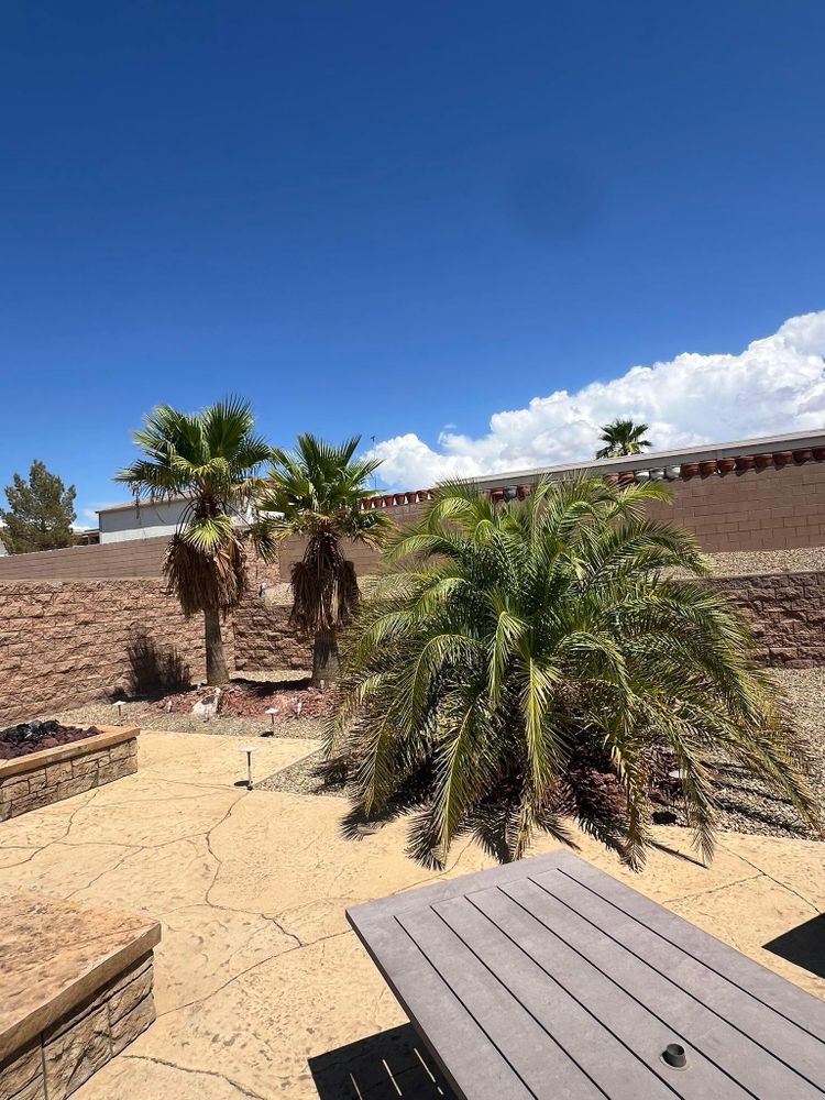 All Photos for Top Notch Landscape Services LLC in Mohave Valley, AZ