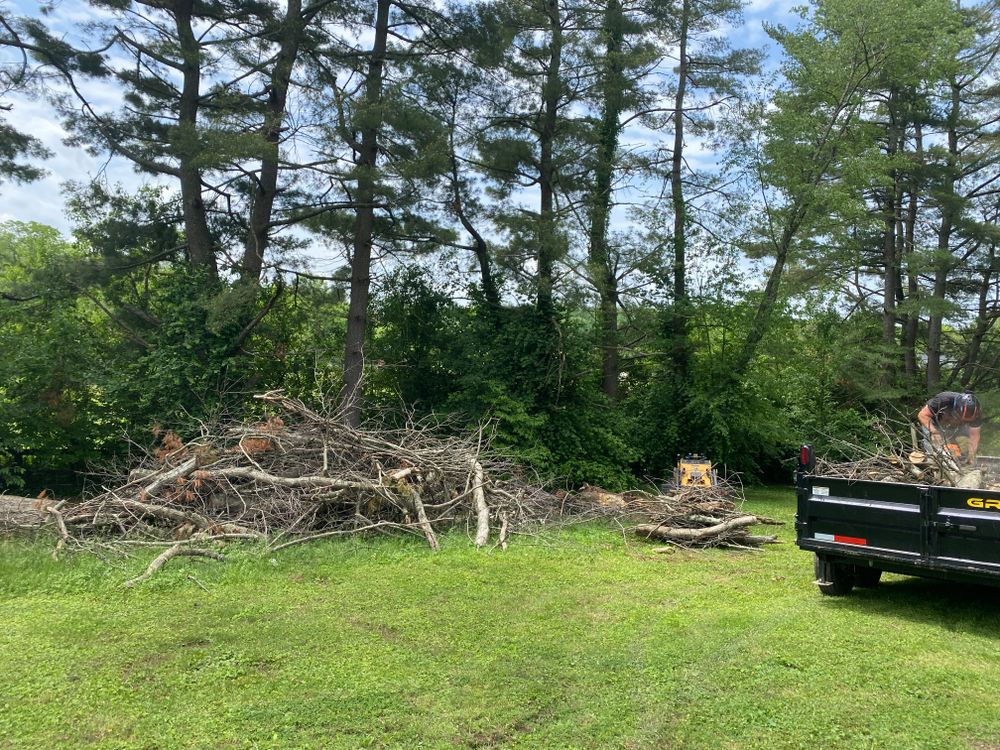 All Photos for Houtz Tree Service in Lexington, KY