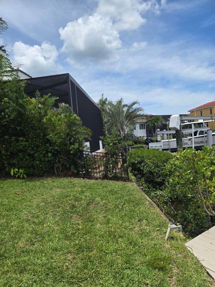 All Photos for TREE BOYS in Ruskin, FL