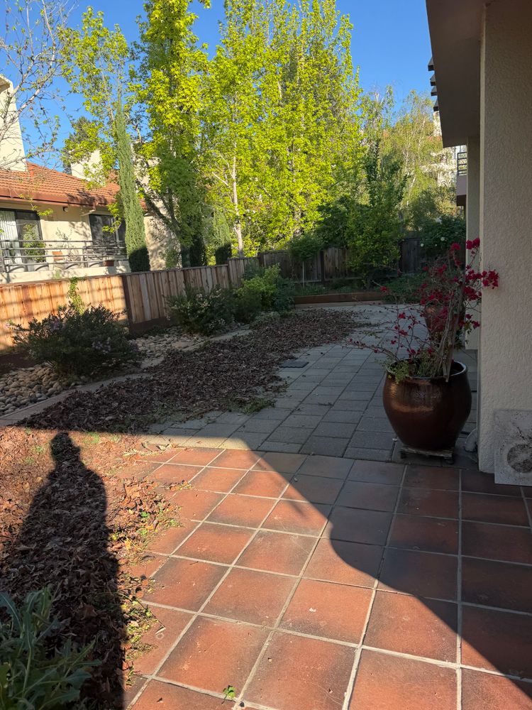 All Photos for CBA Landscaping in Hayward, CA