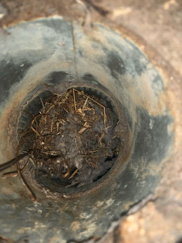 All Photos for Soapy Suds Services in St. Charles, IL