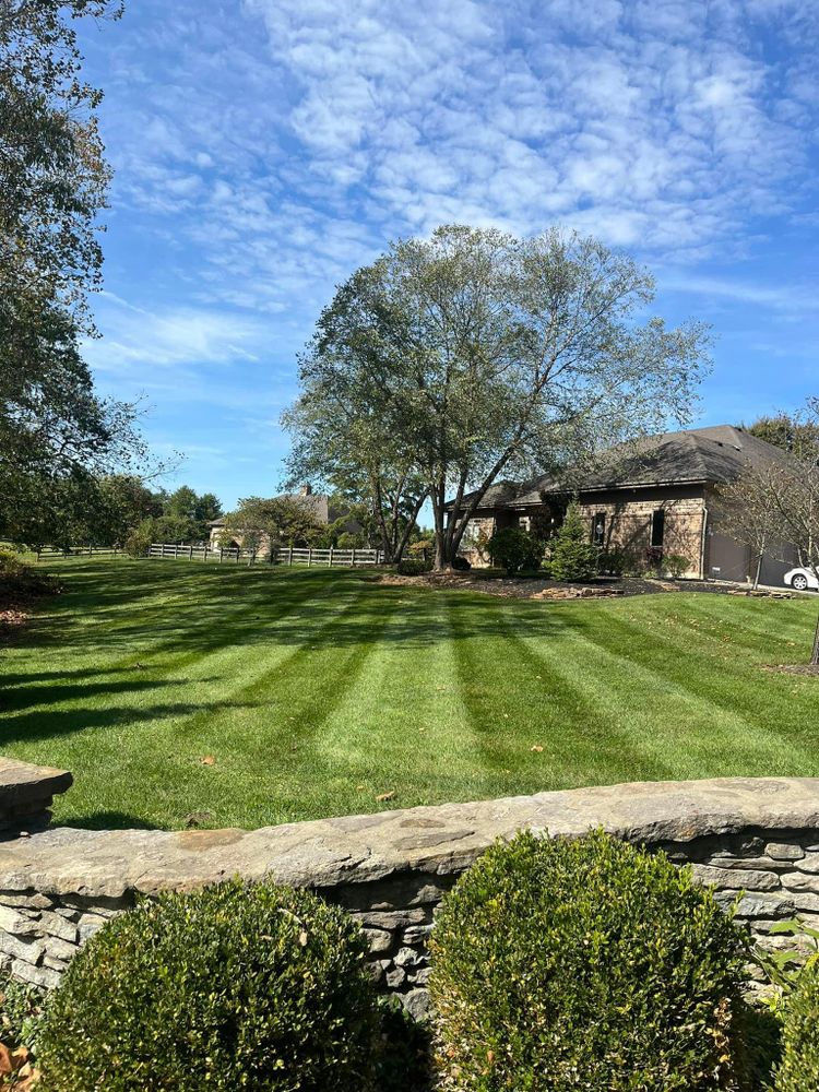 All Photos for Cincinnati’s Finest Landscape Services LLC in Cincinnati, OH