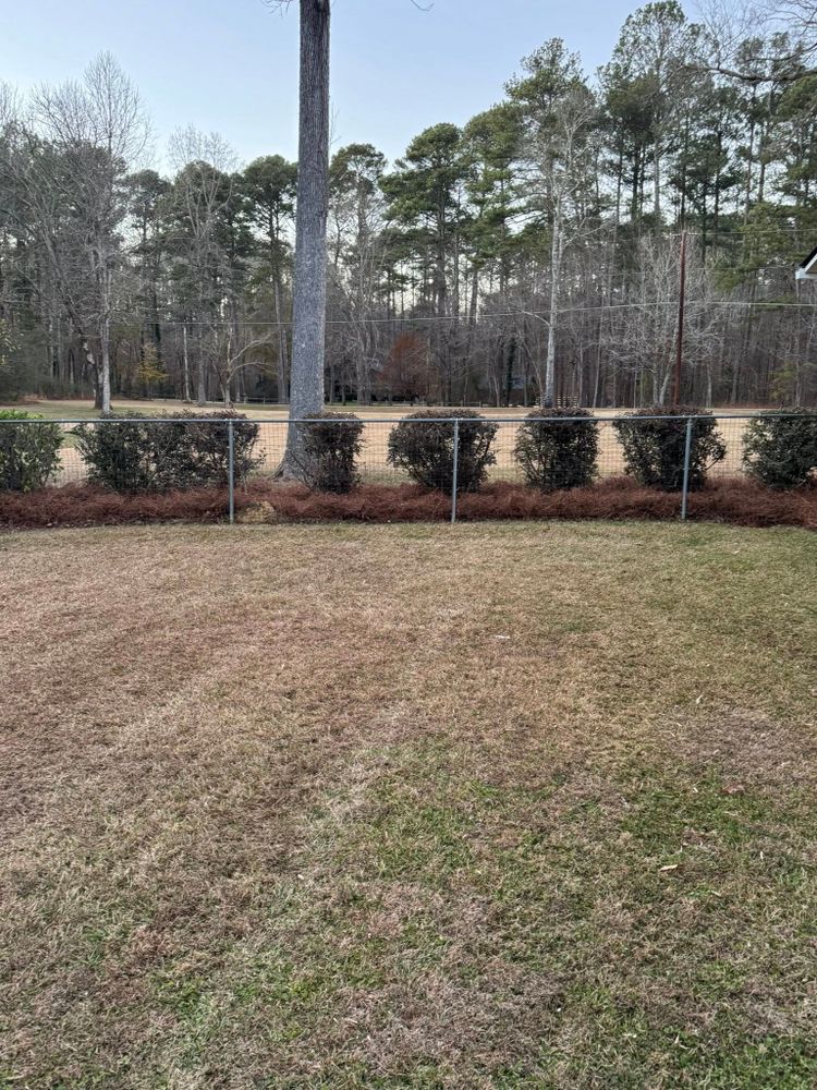 All Photos for Sunrise Lawn Service LLC in Athens, Georgia