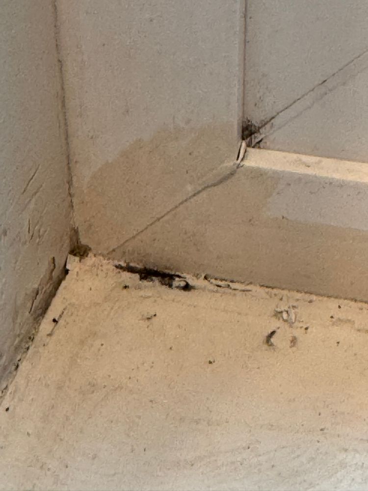 All Photos for Tony's Remodeling & Painting in Renton, WA