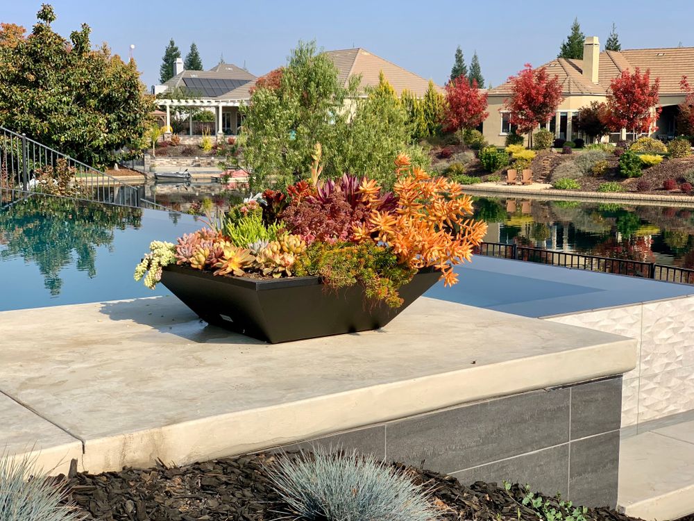 All Photos for Triple R Permitting Services in Citrus Heights, CA