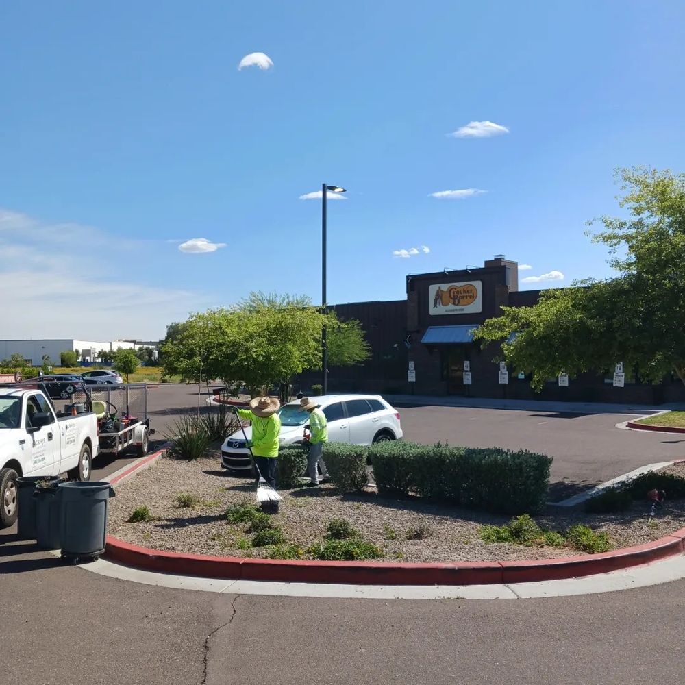All Photos for CRAJE Landscaping LLC in Mesa, AZ