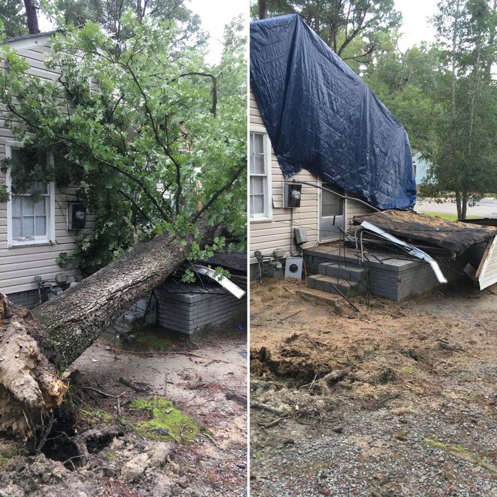 Tree Removal for Tucker's Tree Service and Stump Grinding in Lugoff, SC