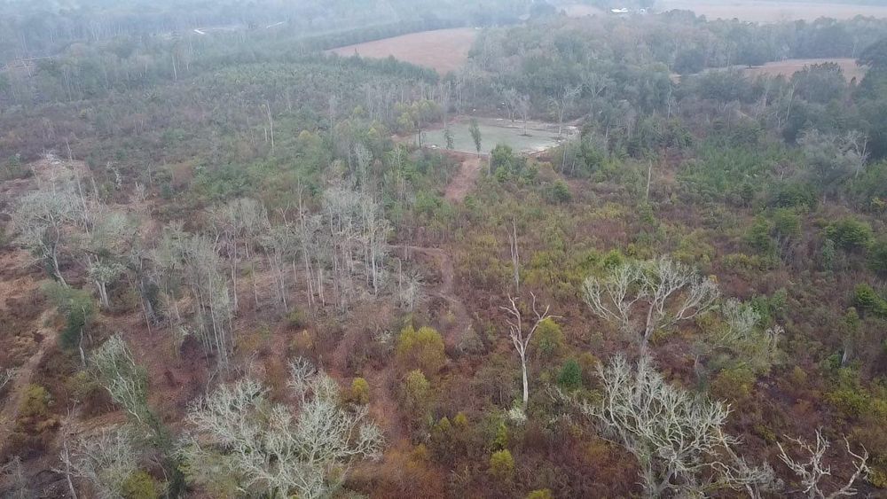 All Photos for Earthworks Septic LLC in Albany, Georgia