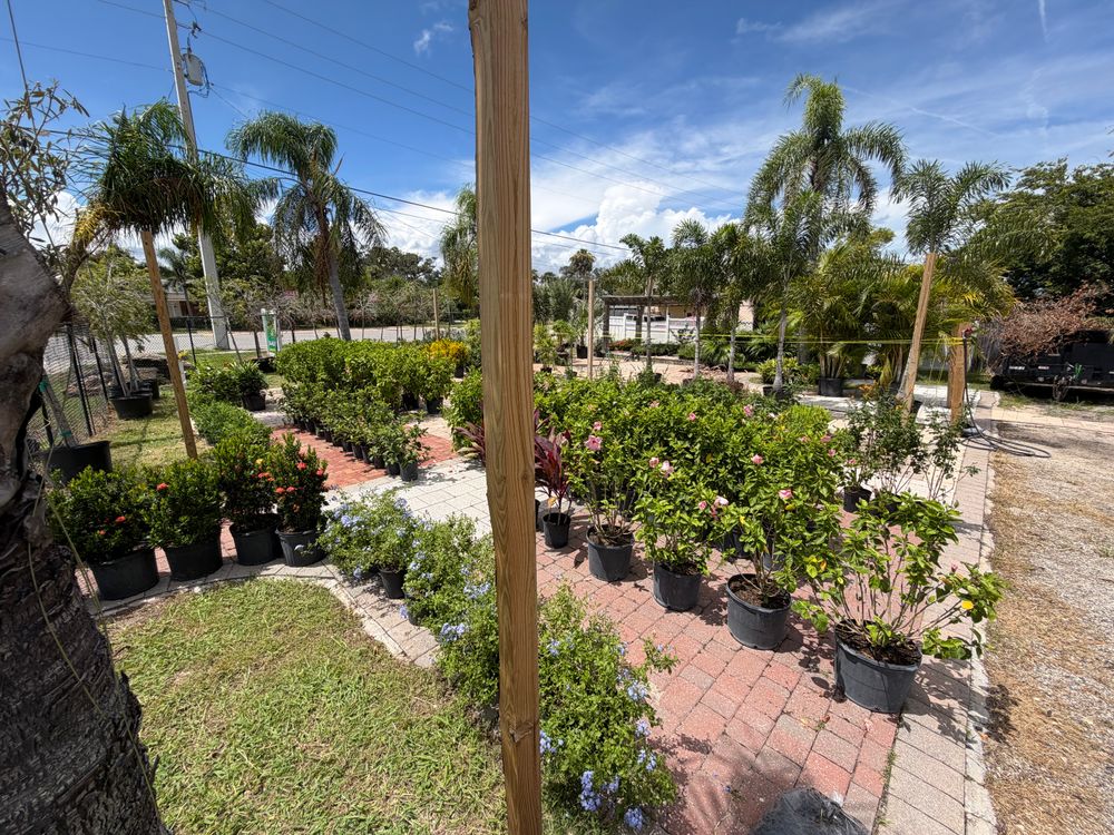 All Photos for Vanic's Landscaping in Port Orange, FL