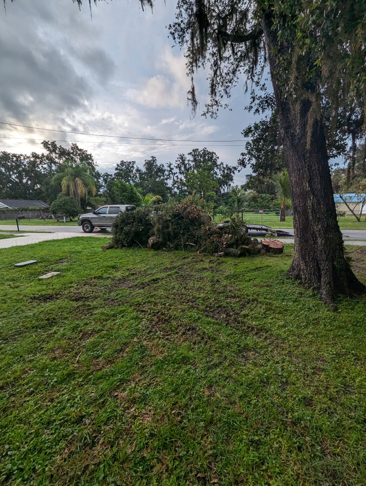 All Photos for Regal Tree Service and Stump Grinding in Wauchula, FL