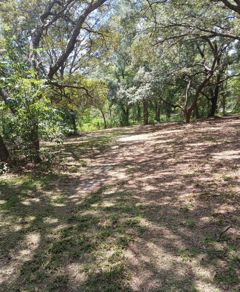 All Photos for Aztec Land Destroyers LLC in Ocala, FL