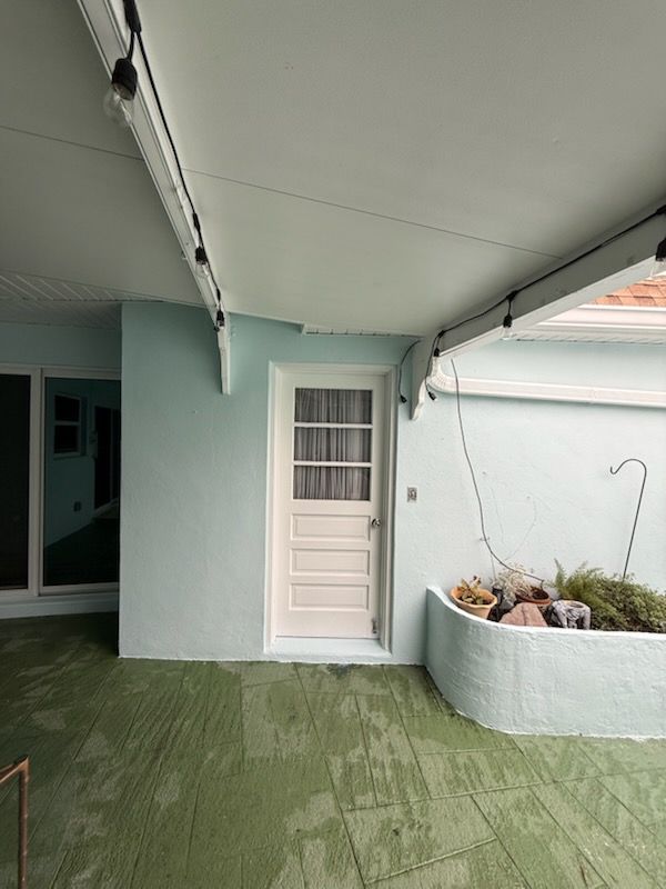 All Photos for Escorpio Painting in Tampa, FL