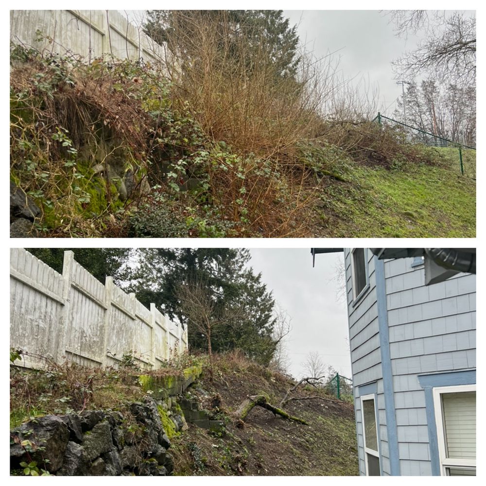 All Photos for Hall of Fame Landscaping in Bremerton, WA