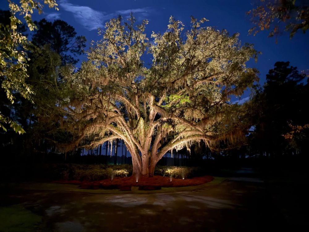 All Photos for Thomasville Lawn Care in Thomasville, GA