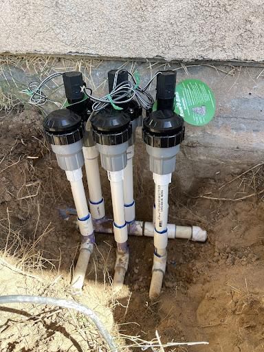 All Photos for Oliver L. Palm & Tree services in Yuma County, AZ