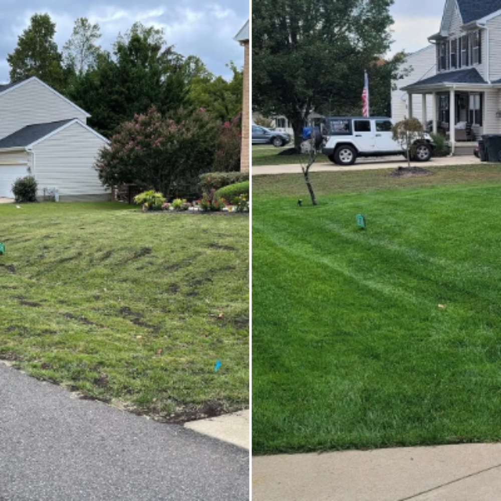 Our Work  for Hurley's Cutz in Saint Leonard, MD