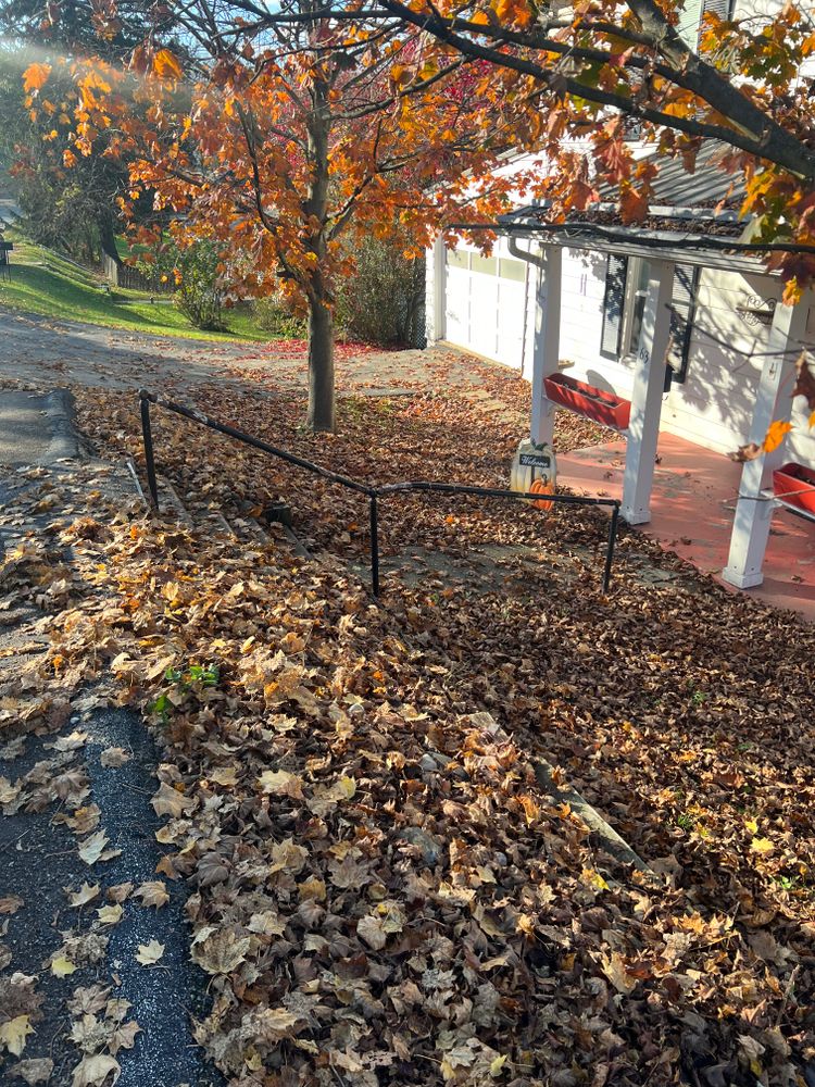 All Photos for Cam Yardz in Washington, PA