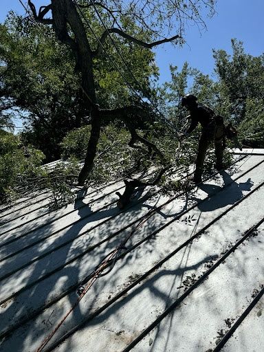 All Photos for Braun Tree Service in Cameron, TX