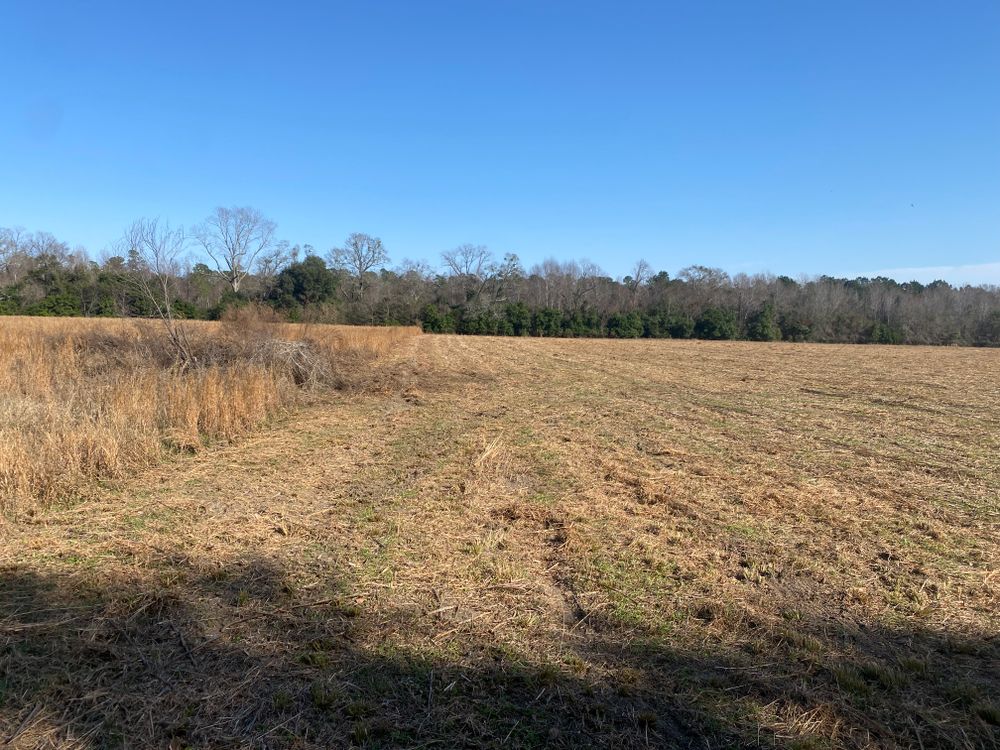 All Photos for T&S Land Management Services in Effingham County, GA