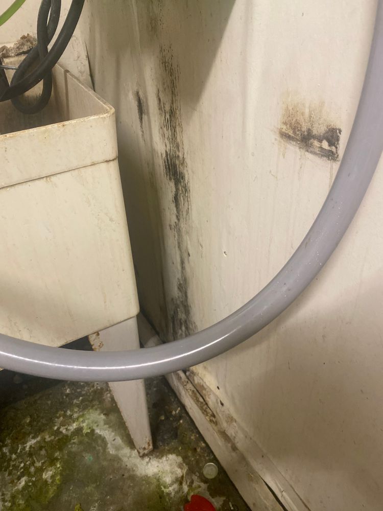 Handyman for The Flip Flop Roofer in Statesville, NC