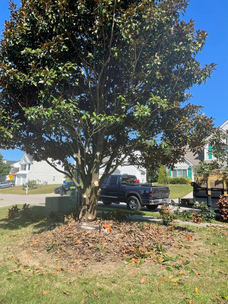 All Photos for J&J Tree Services in Raleigh, NC