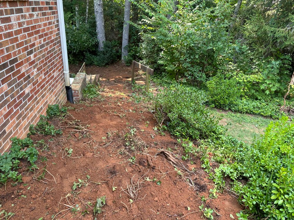 All Photos for Rescue Grading & Landscaping in Marietta, SC