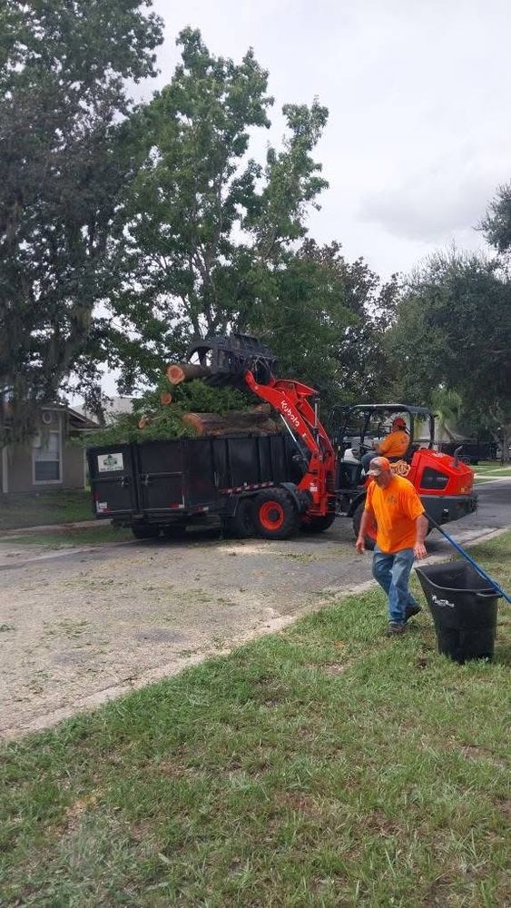All Photos for Daniel Hickey’s Tree Service in DeLand, FL