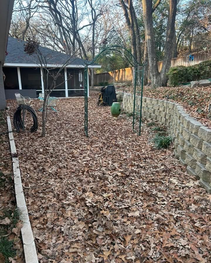 All Photos for Muniz Tree Service in North Richland Hills, TX