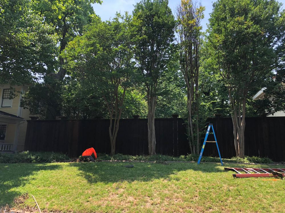 Landscaping for Rj’s Enchanted Gardens and Fencing LLC in Irving, TX