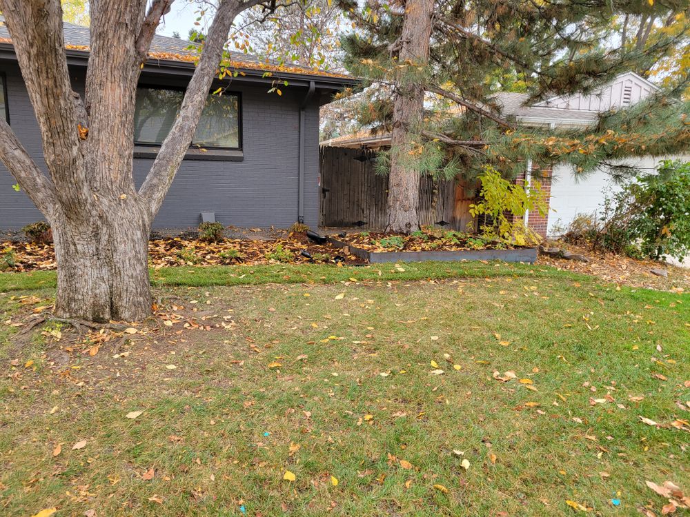 All Photos for JS Landscaping Colorado in Denver, CO