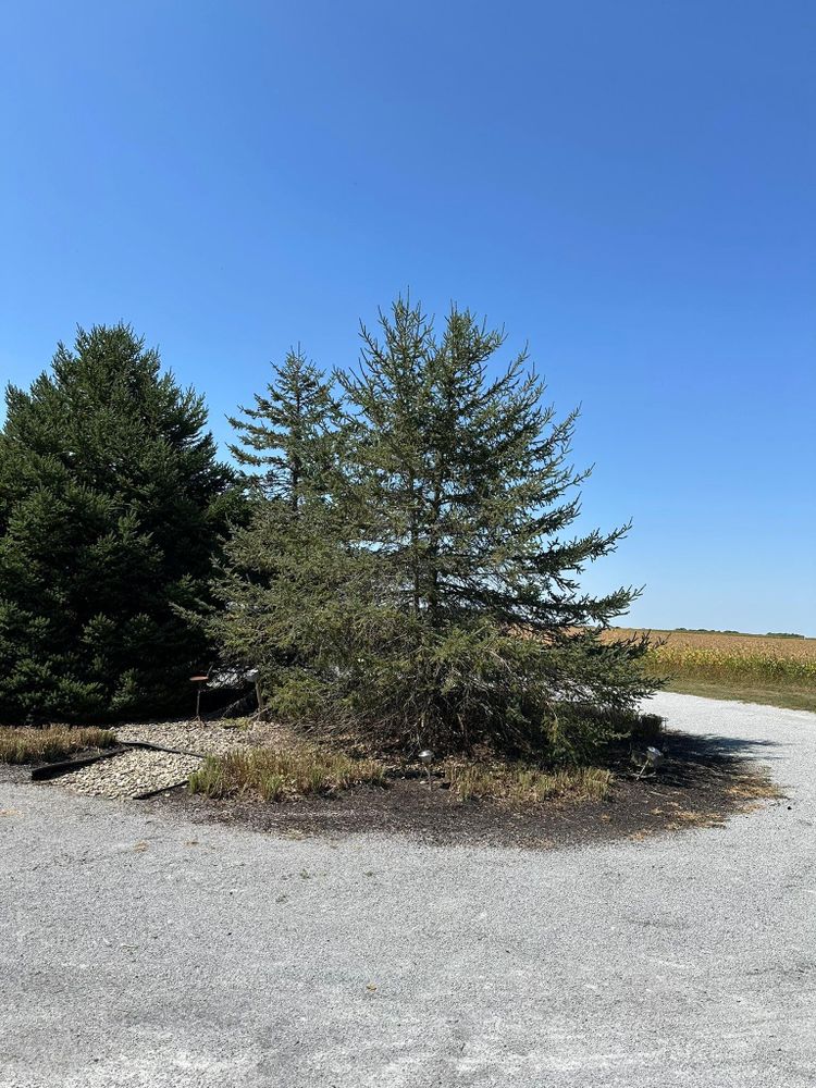 All Photos for OT Lawn and Landscaping LLC in Carey, OH