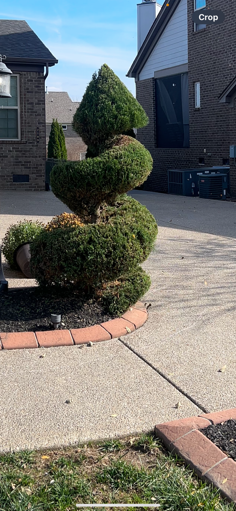 All Photos for Russell's Lawn Care Plus in Nashville, TN